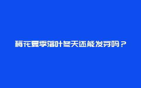 梅花夏季落叶冬天还能发芽吗？