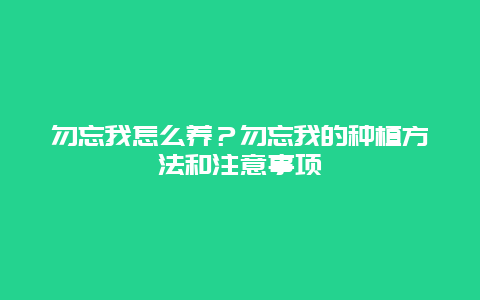 勿忘我怎么养？勿忘我的种植方法和注意事项