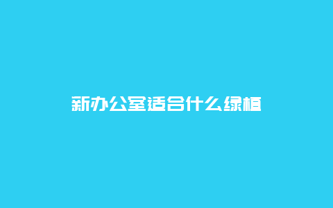 新办公室适合什么绿植