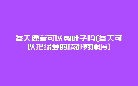 冬天绿萝可以剪叶子吗(冬天可以把绿萝的枝都剪掉吗)