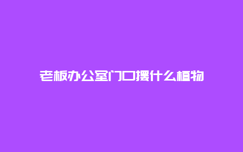 老板办公室门口摆什么植物