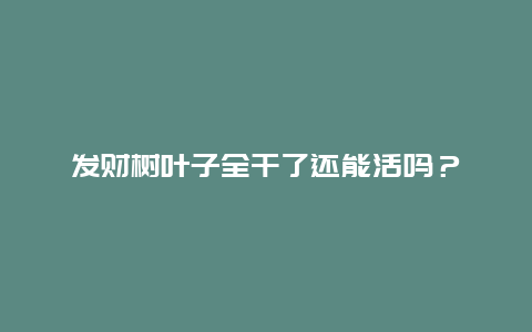 发财树叶子全干了还能活吗？