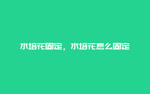 水培花固定，水培花怎么固定