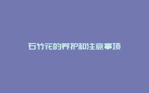 石竹花的养护和注意事项