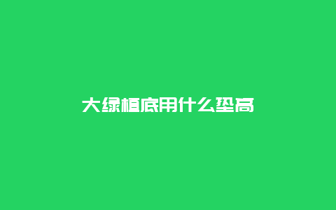 大绿植底用什么垫高