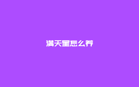 满天星怎么养