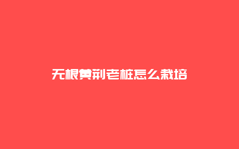 无根黄荆老桩怎么栽培