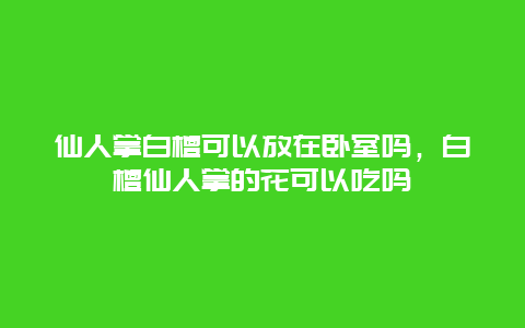 仙人掌白檀可以放在卧室吗，白檀仙人掌的花可以吃吗