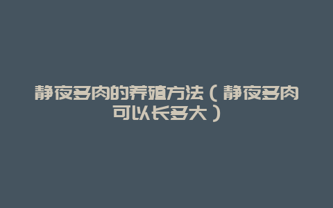 静夜多肉的养殖方法（静夜多肉可以长多大）