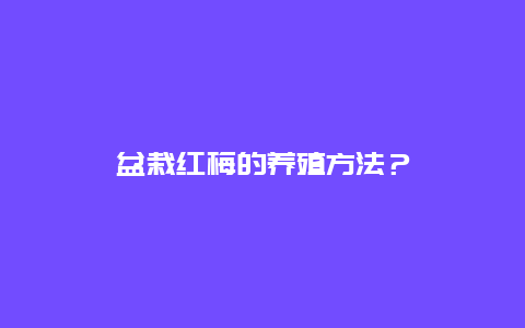 盆栽红梅的养殖方法？