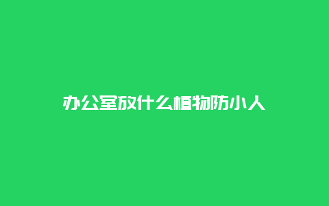 办公室放什么植物防小人