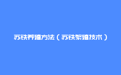 苏铁养殖方法（苏铁繁殖技术）