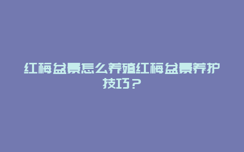 红梅盆景怎么养殖红梅盆景养护技巧？