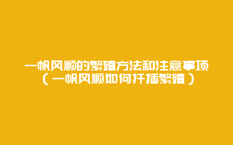 一帆风顺的繁殖方法和注意事项（一帆风顺如何扦插繁殖）