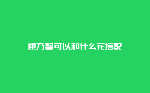 康乃馨可以和什么花搭配