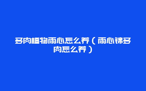 多肉植物雨心怎么养（雨心锦多肉怎么养）