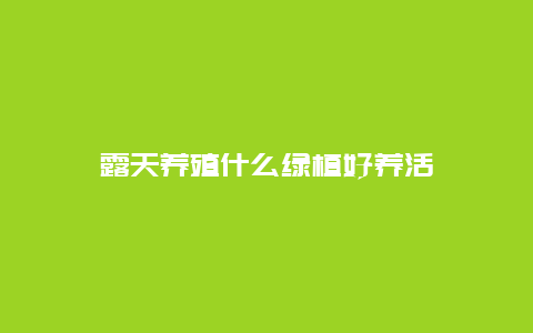 露天养殖什么绿植好养活