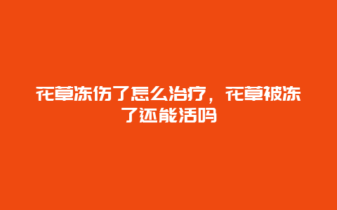 花草冻伤了怎么治疗，花草被冻了还能活吗