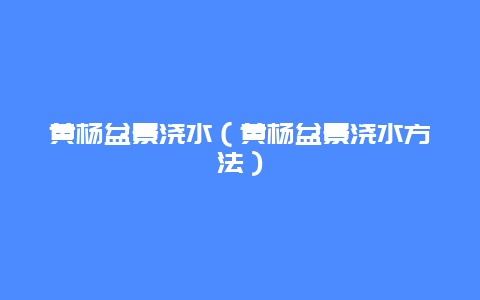 黄杨盆景浇水（黄杨盆景浇水方法）