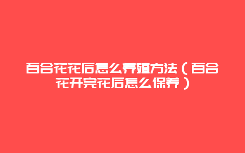 百合花花后怎么养殖方法（百合花开完花后怎么保养）