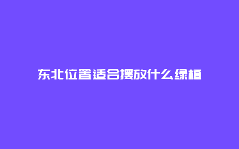 东北位置适合摆放什么绿植