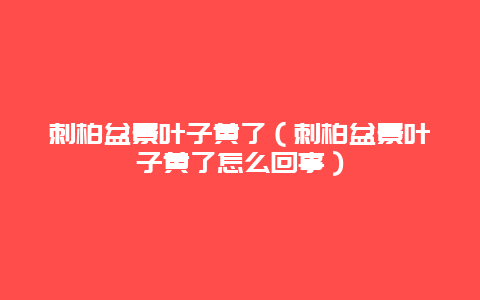 刺柏盆景叶子黄了（刺柏盆景叶子黄了怎么回事）