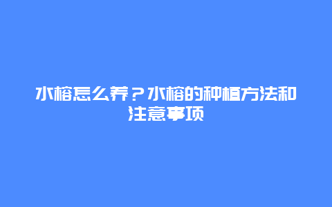 水榕怎么养？水榕的种植方法和注意事项