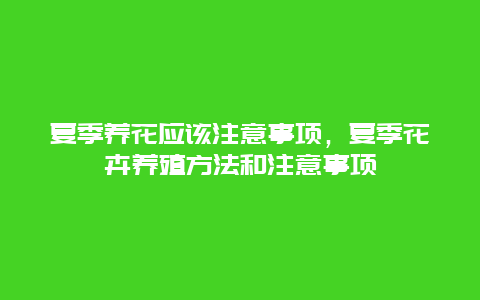 夏季养花应该注意事项，夏季花卉养殖方法和注意事项