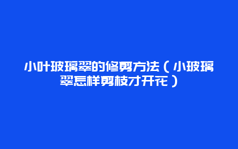 小叶玻璃翠的修剪方法（小玻璃翠怎样剪枝才开花）