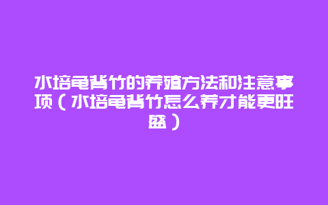 水培龟背竹的养殖方法和注意事项（水培龟背竹怎么养才能更旺盛）