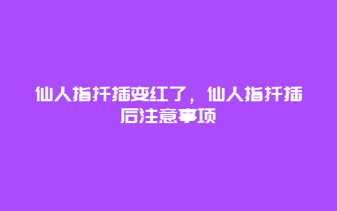 仙人指扦插变红了，仙人指扦插后注意事项