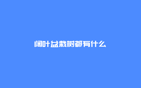 阔叶盆栽树都有什么