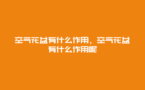 空气花盆有什么作用，空气花盆有什么作用呢