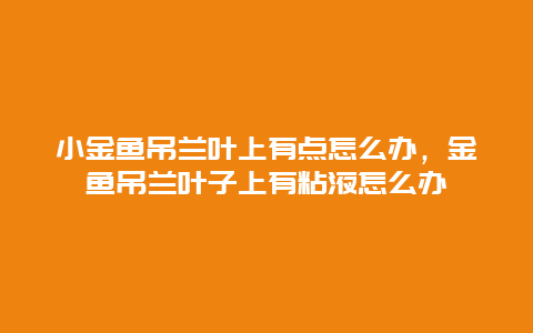 小金鱼吊兰叶上有点怎么办，金鱼吊兰叶子上有粘液怎么办