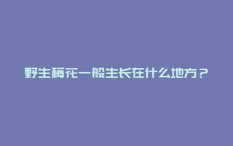 野生梅花一般生长在什么地方？