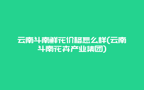 云南斗南鲜花价格怎么样(云南斗南花卉产业集团)