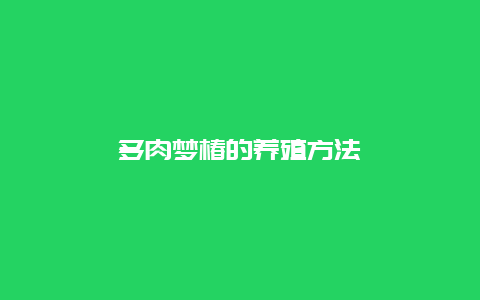 多肉梦椿的养殖方法