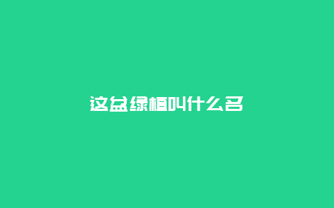 这盆绿植叫什么名