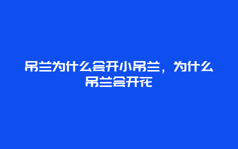 吊兰为什么会开小吊兰，为什么吊兰会开花