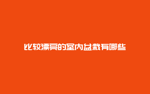 比较漂亮的室内盆栽有哪些