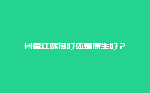 骨里红嫁接好还是原生好？