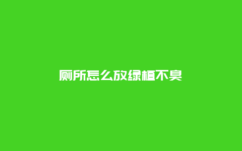 厕所怎么放绿植不臭