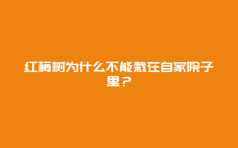 红梅树为什么不能栽在自家院子里？