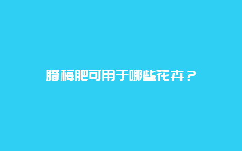 腊梅肥可用于哪些花卉？