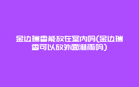 金边瑞香能放在室内吗(金边瑞香可以放外面淋雨吗)