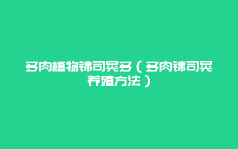 多肉植物锦司晃多（多肉锦司晃养殖方法）