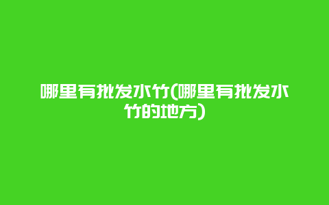 哪里有批发水竹(哪里有批发水竹的地方)