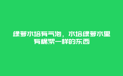 绿萝水培有气泡，水培绿萝水里有棉絮一样的东西