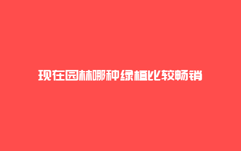 现在园林哪种绿植比较畅销