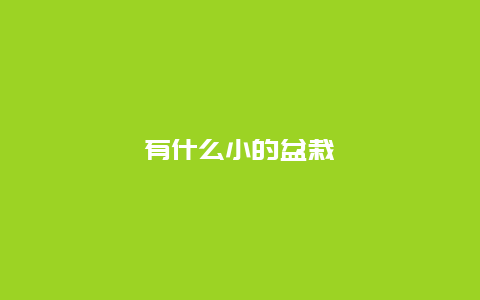 有什么小的盆栽